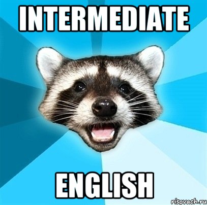 INTERMEDIATE ENGLISH