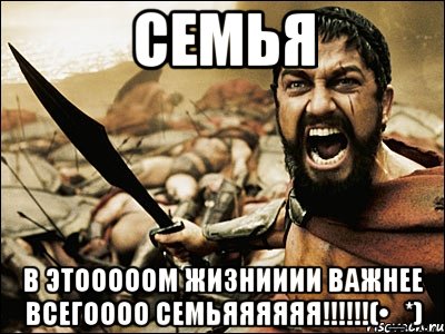 Семья В этооооом жизнииии важнее всегоооо семьяяяяяя!!!!!!(•_*), Мем Это Спарта