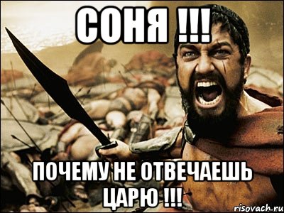 Соня !!! Почему не отвечаешь Царю !!!, Мем Это Спарта