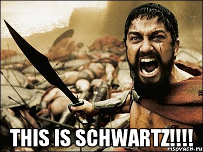  This is SCHWARTZ!!!!, Мем Это Спарта