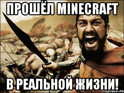 Прошёл MINECRAFT в реальной жизни!, Мем Это Спарта