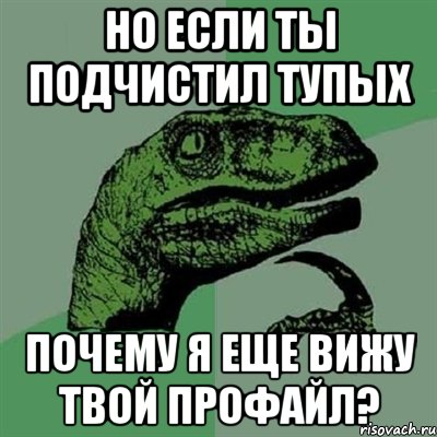 НО ЕСЛИ ТЫ ПОДЧИСТИЛ ТУПЫХ ПОЧЕМУ Я ЕЩЕ ВИЖУ ТВОЙ ПРОФАЙЛ?, Мем Филосораптор