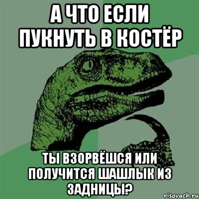 А ЧТО ЕСЛИ ПУКНУТЬ В КОСТЁР ТЫ ВЗОРВЁШСЯ ИЛИ ПОЛУЧИТСЯ ШАШЛЫК ИЗ ЗАДНИЦЫ?, Мем Филосораптор