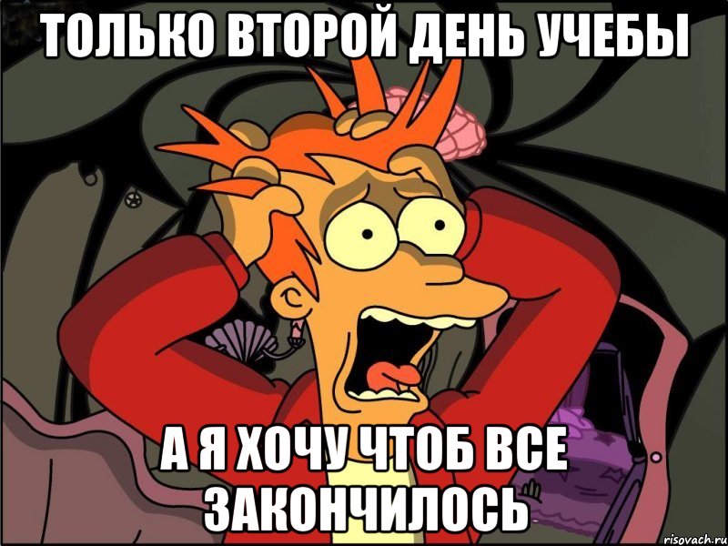 только второй день учебы а я хочу чтоб все закончилось, Мем Фрай в панике