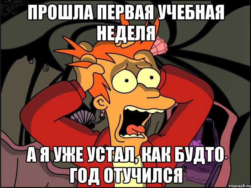 прошла первая учебная неделя а я уже устал, как будто год отучился, Мем Фрай в панике