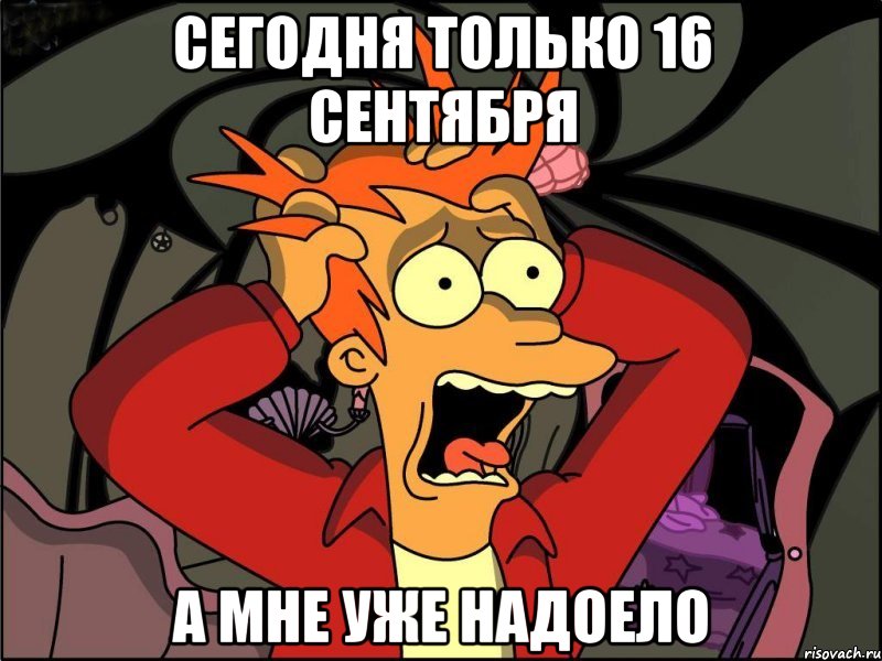 Сегодня только 16 сентября А мне уже надоело, Мем Фрай в панике