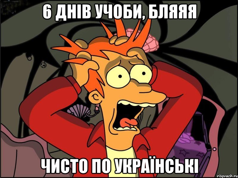 6 Днів учоби, бляяя Чисто По Українські, Мем Фрай в панике