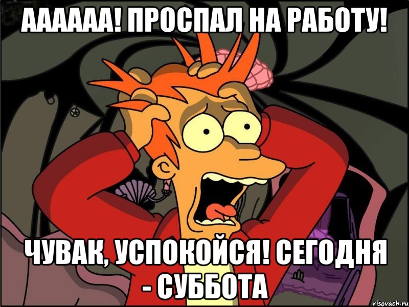 Аааааа! Проспал на работу! Чувак, успокойся! Сегодня - суббота, Мем Фрай в панике