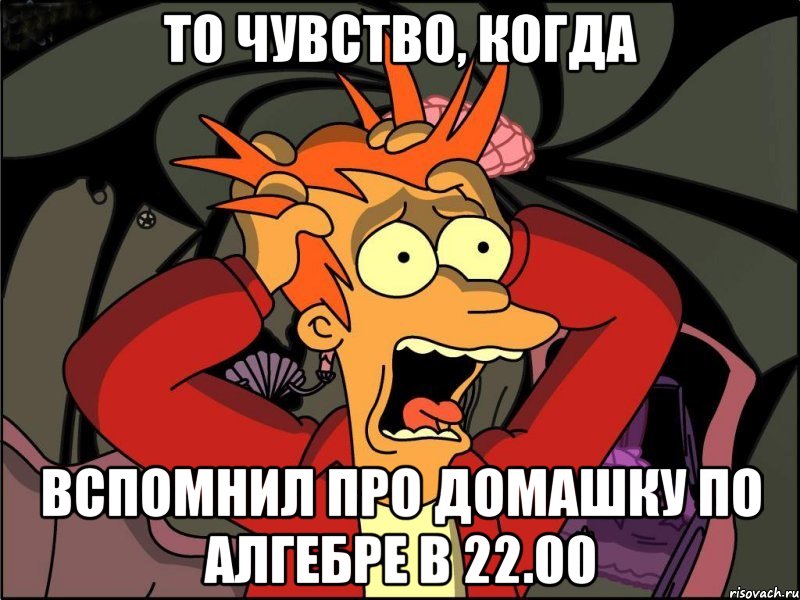 То чувство, когда Вспомнил про домашку по алгебре в 22.00, Мем Фрай в панике