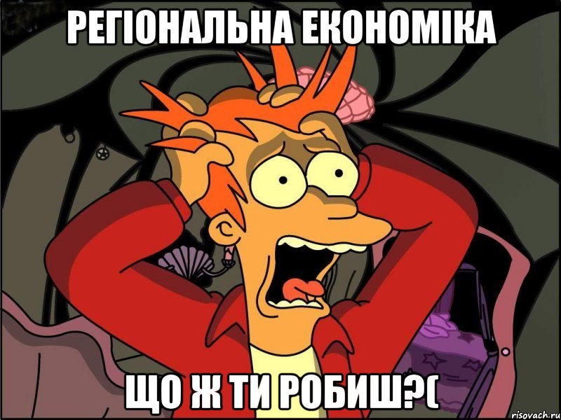 Регіональна економіка що ж ти робиш?(, Мем Фрай в панике