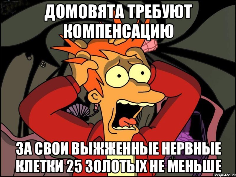 домовята требуют компенсацию за свои выжженные нервные клетки 25 золотых не меньше, Мем Фрай в панике