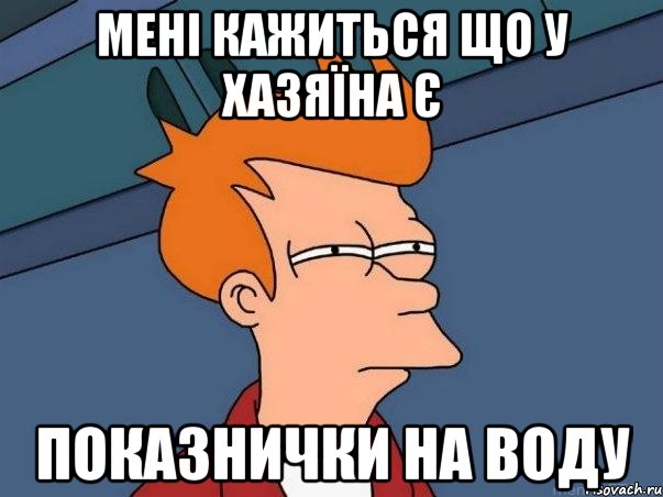 Мені кажиться що у хазяїна є Показнички на воду, Мем  Фрай (мне кажется или)