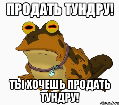 Продать тундру! Ты хочешь продать тундру!