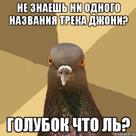 Не знаешь ни одного названия трека джони? Голубок что ль?, Мем голубь