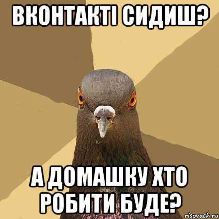 ВКонтакті сидиш? А домашку хто робити буде?, Мем голубь