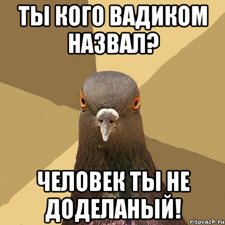 Ты кого Вадиком назвал? Человек ты не доделаный!, Мем голубь