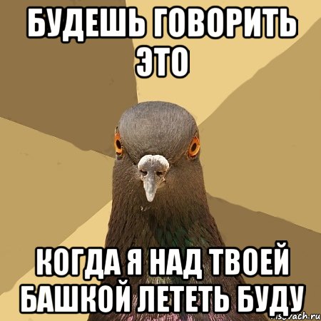 Будешь говорить это Когда я над твоей башкой лететь буду, Мем голубь