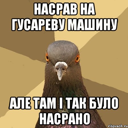 НАСРАВ НА ГУСАРЕВУ МАШИНУ АЛЕ ТАМ І ТАК БУЛО НАСРАНО, Мем голубь