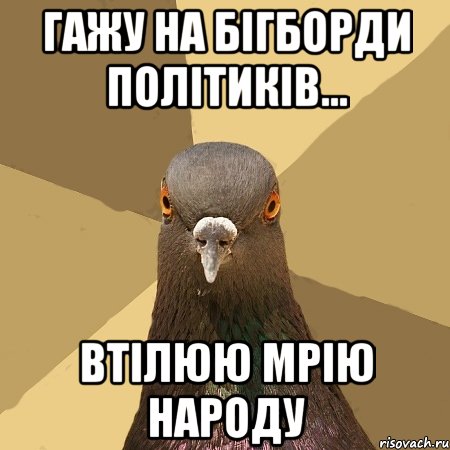 гажу на бігборди політиків... втілюю мрію народу, Мем голубь