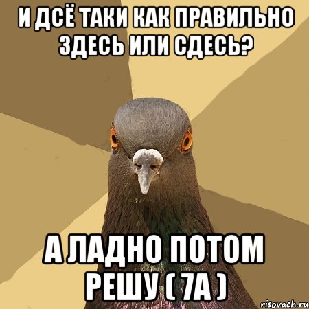 И дсё таки как правильно здесь или сдесь? а ладно потом решу ( 7А ), Мем голубь