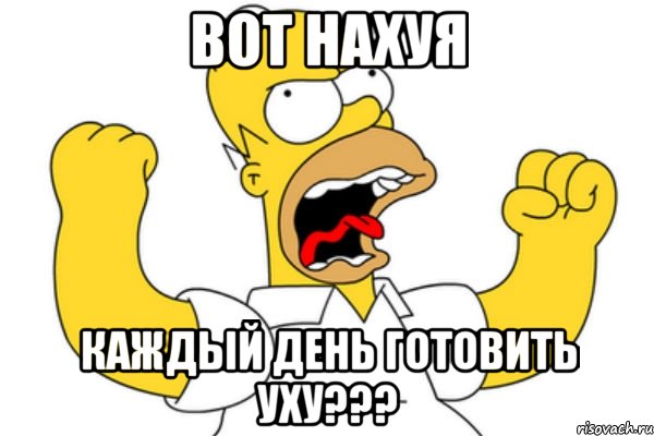 Вот нахуя Каждый день готовить уху???, Мем Разъяренный Гомер