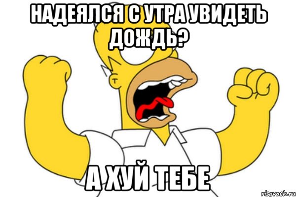 Надеялся с утра увидеть дождь? А хуй тебе, Мем Разъяренный Гомер