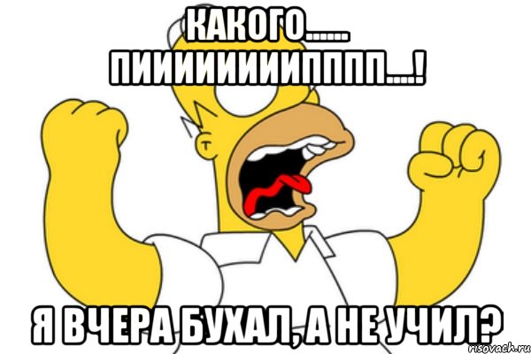 Какого...... пиииииииипппп....! Я вчера бухал, а не учил?, Мем Разъяренный Гомер