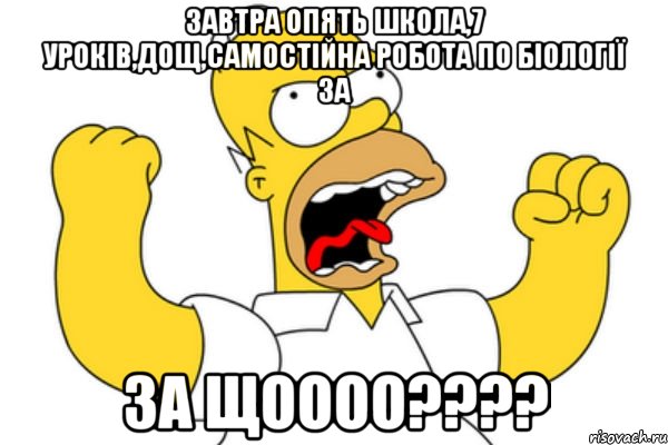 ЗАВТРА ОПЯТЬ ШКОЛА,7 УРОКІВ,ДОЩ,САМОСТІЙНА РОБОТА ПО БІОЛОГІЇ ЗА ЗА ЩОООО????, Мем Разъяренный Гомер