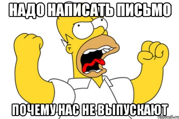 Надо написать письмо почему нас не выпускают, Мем Разъяренный Гомер