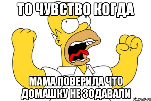 то чувство когда мама поверила что домашку не зодавали, Мем Разъяренный Гомер