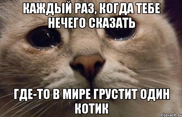 каждый раз, когда тебе нечего сказать где-то в мире грустит один котик, Мем   В мире грустит один котик