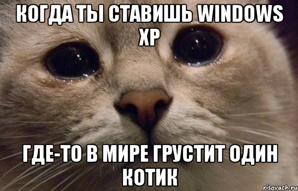 когда ты ставишь windows xp где-то в мире грустит один котик, Мем   В мире грустит один котик