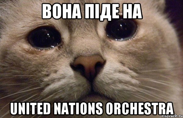 Вона піде на united nations orchestra, Мем   В мире грустит один котик