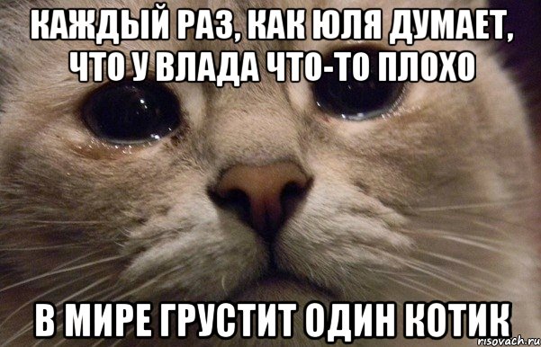 Каждый раз, как Юля думает, что у Влада что-то плохо в мире грустит один котик, Мем   В мире грустит один котик