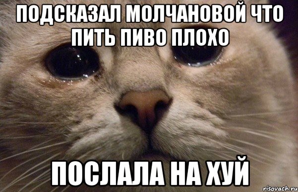 Подсказал Молчановой Что Пить Пиво Плохо Послала на хуй, Мем   В мире грустит один котик