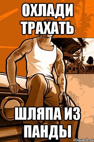 охлади трахать шляпа из панды, Мем GTA