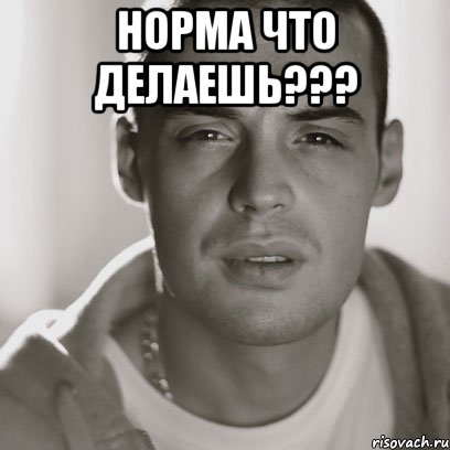 Норма что делаешь??? , Мем Гуф