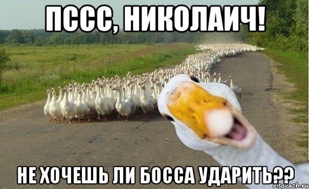 Пссс, Николаич! Не хочешь ли босса ударить??, Мем гуси