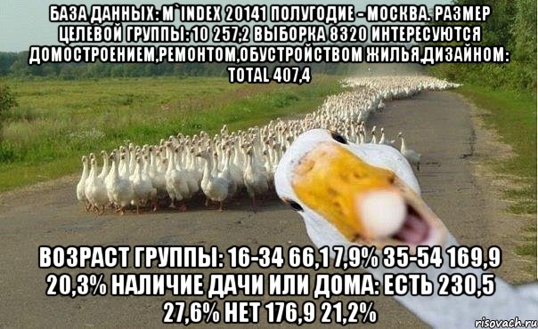 База данных: M`Index 20141 полугодие - Москва. Размер целевой группы: 10 257,2 выборка 8320 Интересуются домостроением,ремонтом,обустройством жилья,дизайном: Total 407,4 Возраст группы: 16-34 66,1 7,9% 35-54 169,9 20,3% Наличие дачи или дома: есть 230,5 27,6% нет 176,9 21,2%, Мем гуси