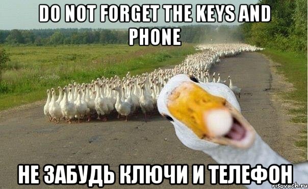 Do not forget the keys and phone не забудь ключи и телефон, Мем гуси