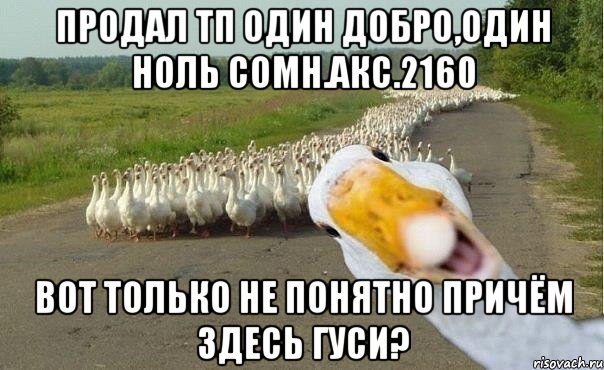 Продал ТП один добро,один ноль сомн.Акс.2160 Вот только не понятно причём здесь гуси?, Мем гуси