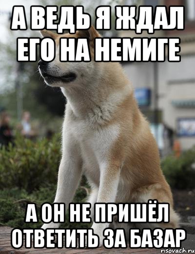 А ведь я ждал его на Немиге А он не пришёл ответить за базар, Мем  Хатико ждет