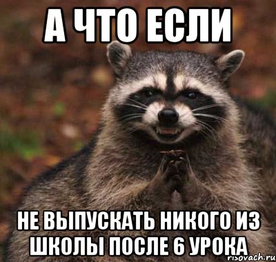 а что если не выпускать никого из школы после 6 урока, Мем  Хитрый енот