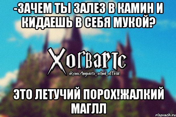 -Зачем ты залез в камин и кидаешь в себя мукой? Это летучий порох!Жалкий маглл, Мем Хогвартс