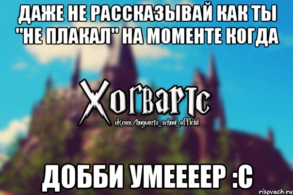 Даже не рассказывай как ты "не плакал" на моменте когда ДОББИ УМЕЕЕЕР :С, Мем Хогвартс