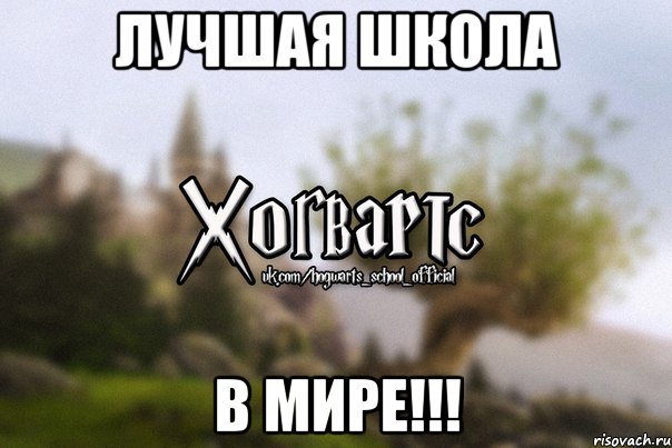 Лучшая школа В МИРЕ!!!, Мем Хогвартс