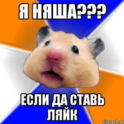 я няша??? если да ставь ляйк, Мем Хомяк