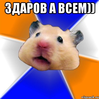 здаров а всем)) , Мем Хомяк