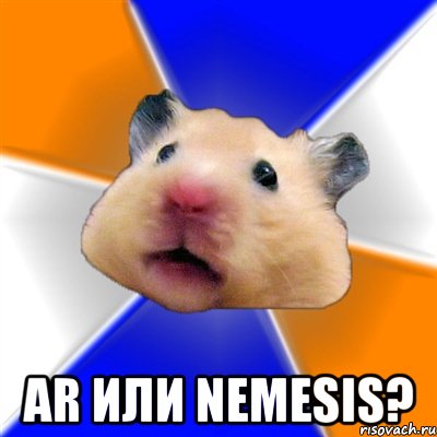  AR или Nemesis?, Мем Хомяк