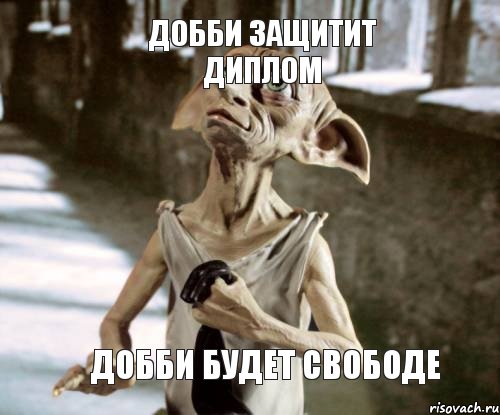 Добби будет свободе  Добби защитит диплом, Мем добби